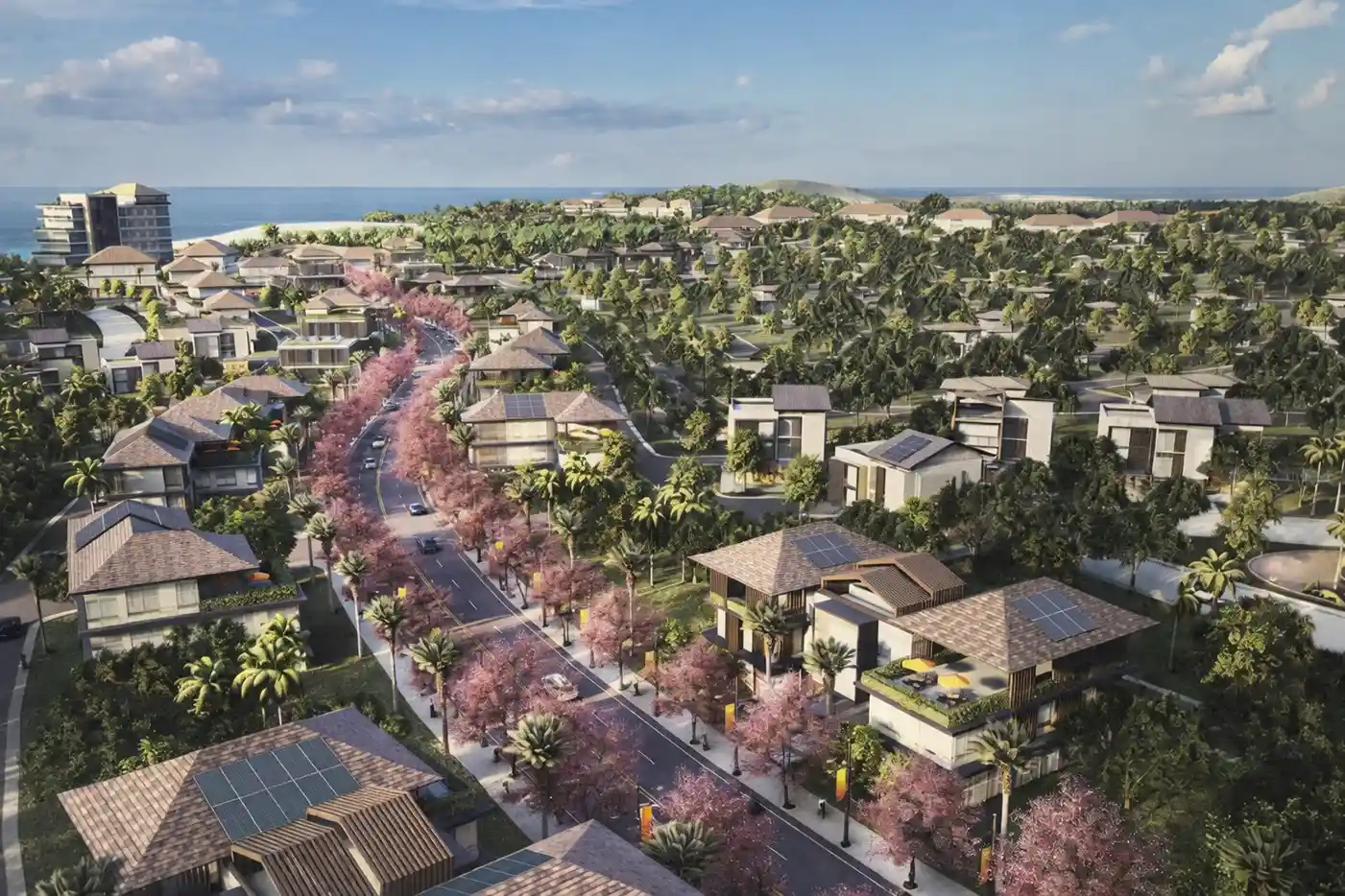 Paragua Coastown Aerial View